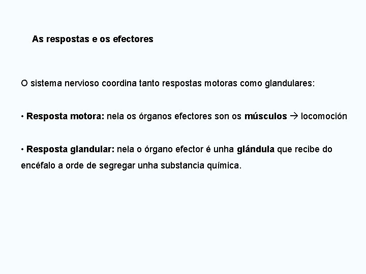 As respostas e os efectores O sistema nervioso coordina tanto respostas motoras como glandulares: