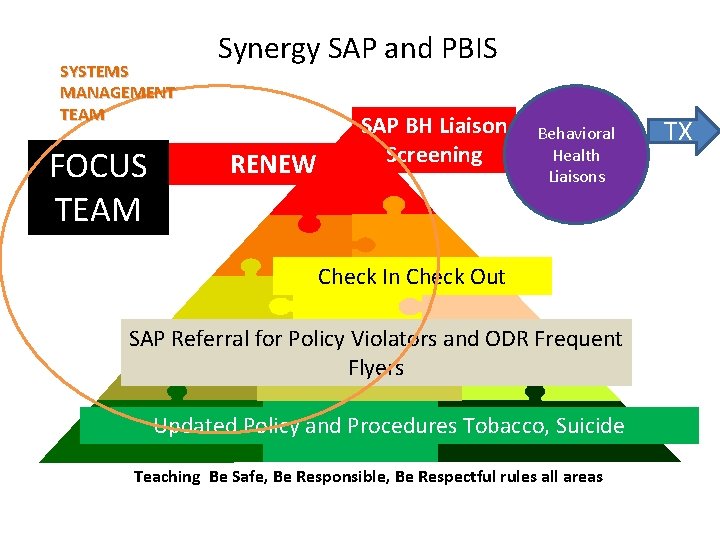 SYSTEMS MANAGEMENT TEAM FOCUS TEAM Synergy SAP and PBIS RENEW SAP BH Liaison Screening