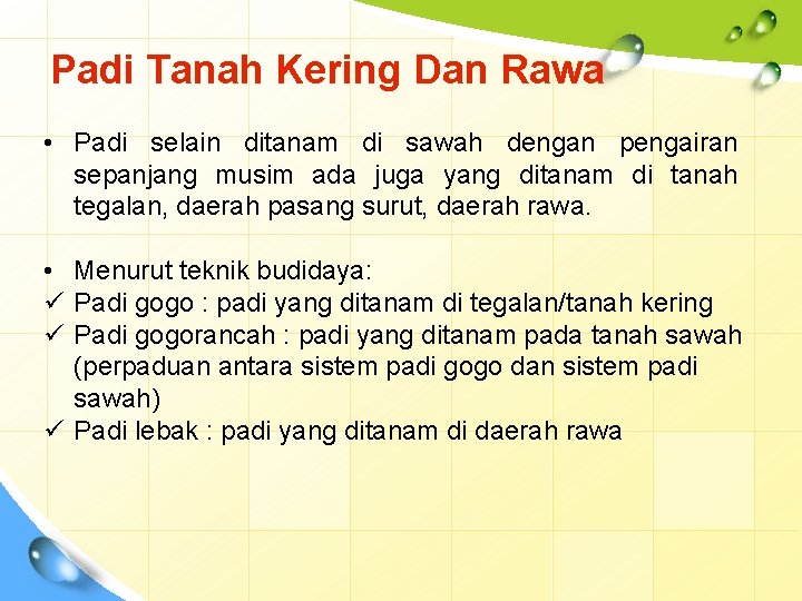 Padi Tanah Kering Dan Rawa • Padi selain ditanam di sawah dengan pengairan sepanjang