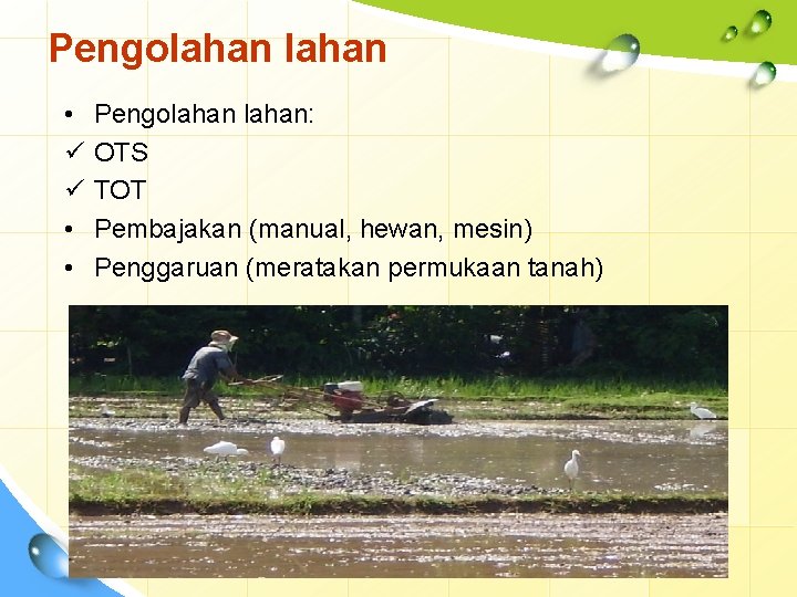 Pengolahan • ü ü • • Pengolahan: OTS TOT Pembajakan (manual, hewan, mesin) Penggaruan