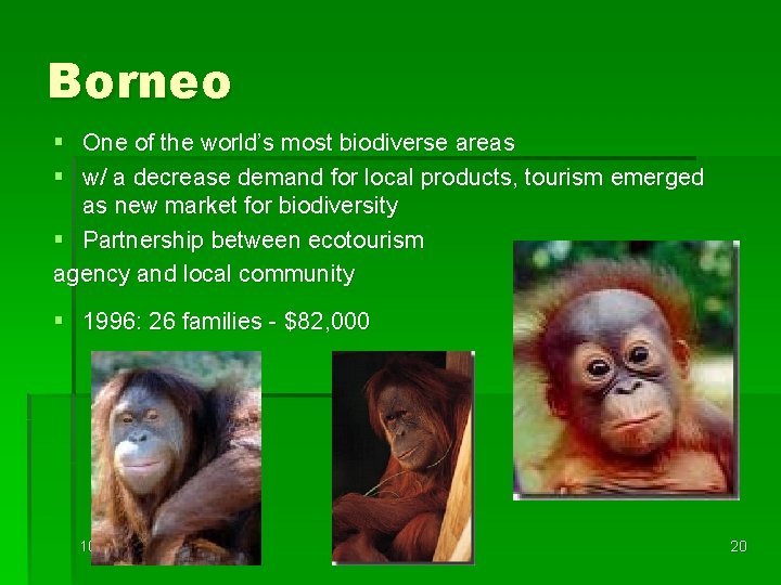 Borneo § One of the world’s most biodiverse areas § w/ a decrease demand