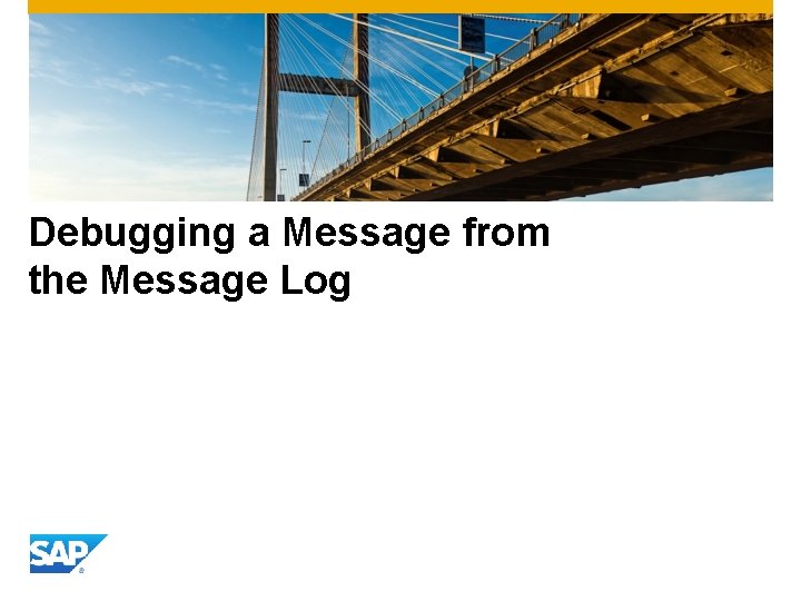 Debugging a Message from the Message Log 