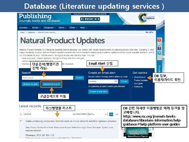Database (Literature updating services ) 단순검색(발행기간 선택 가능) Email Alert 신청 DB 정보, 이용자가이드