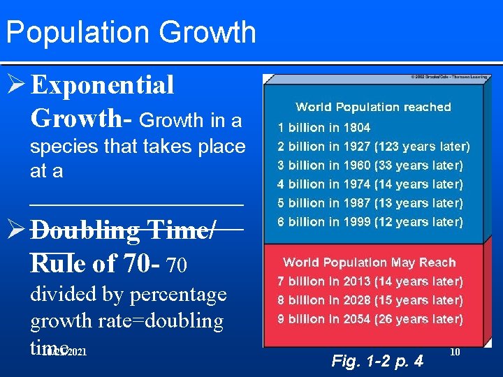 Population Growth Ø Exponential Growth- Growth in a species that takes place at a