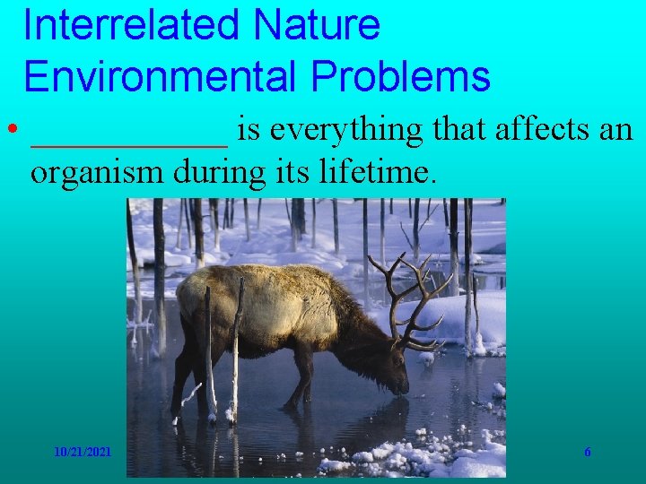 Interrelated Nature Environmental Problems • ______ is everything that affects an organism during its