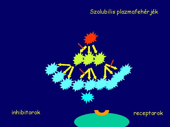 Szolubilis plazmafehérjék inhibitorok receptorok 