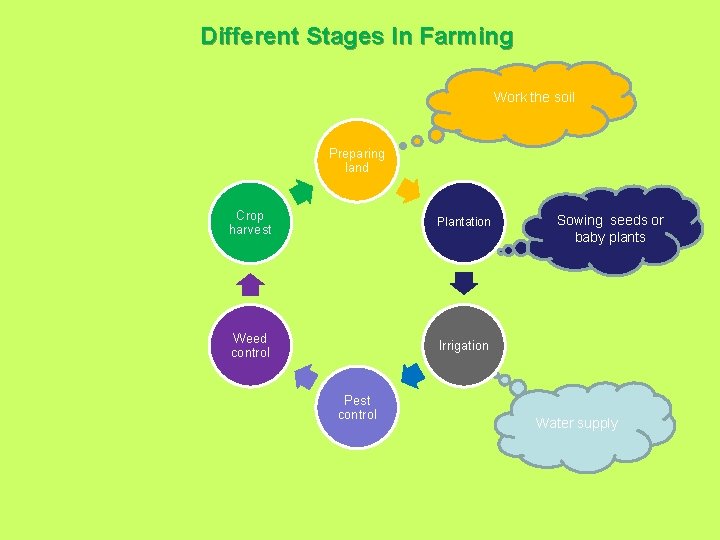 Different Stages In Farming Work the soil Preparing land Crop harvest Plantation Weed control