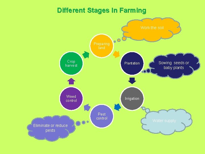 Different Stages In Farming Work the soil Preparing land Crop harvest Plantation Weed control