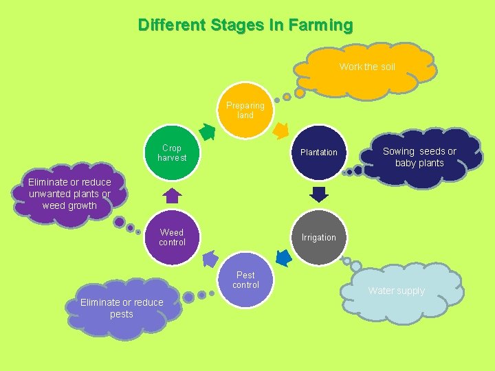Different Stages In Farming Work the soil Preparing land Crop harvest Plantation Weed control