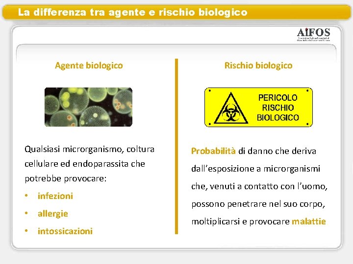 La differenza tra agente e rischio biologico Agente biologico Rischio biologico Qualsiasi microrganismo, coltura