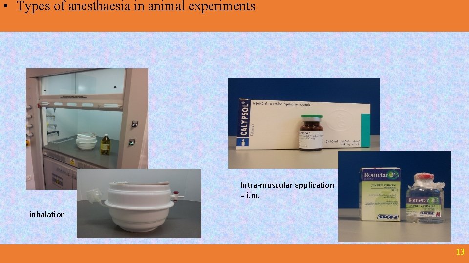  • Types of anesthaesia in animal experiments Intra-muscular application = i. m. inhalation