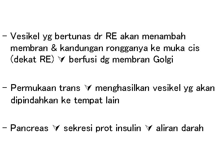 - Vesikel yg bertunas dr RE akan menambah membran & kandungan rongganya ke muka