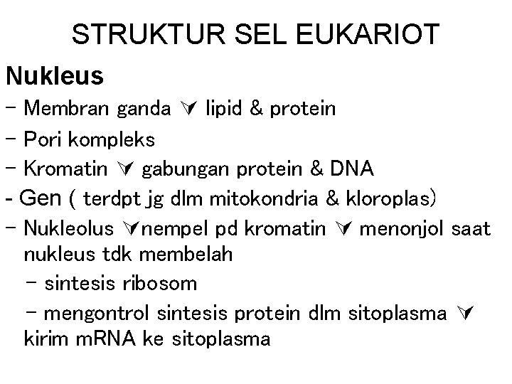 STRUKTUR SEL EUKARIOT Nukleus - Membran ganda lipid & protein - Pori kompleks -