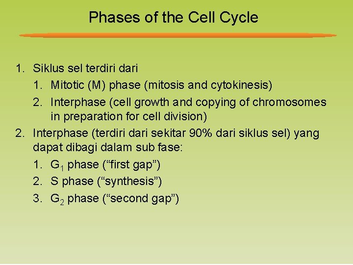 Phases of the Cell Cycle 1. Siklus sel terdiri dari 1. Mitotic (M) phase