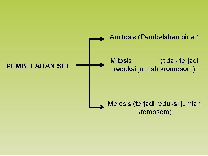 Amitosis (Pembelahan biner) PEMBELAHAN SEL Mitosis (tidak terjadi reduksi jumlah kromosom) Meiosis (terjadi reduksi