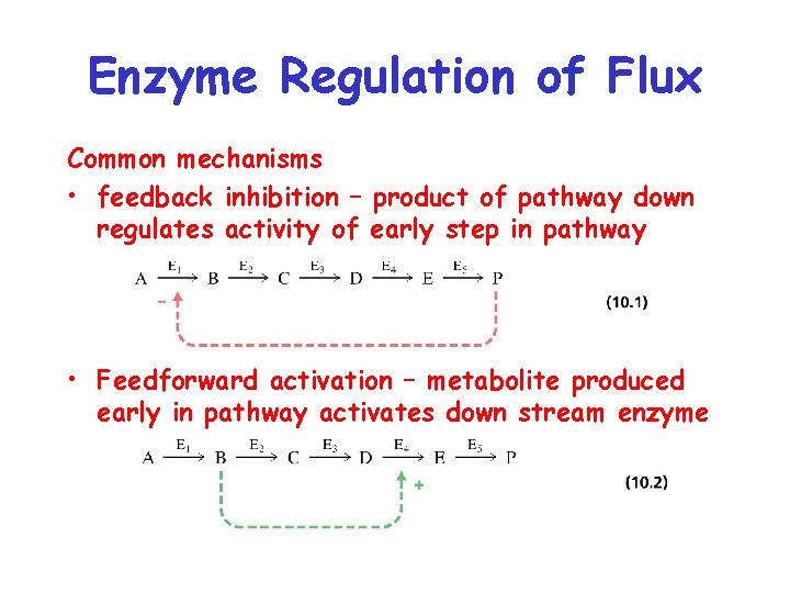 Enzyme Regulation of Flux Common mechanisms • feedback inhibition – product of pathway down
