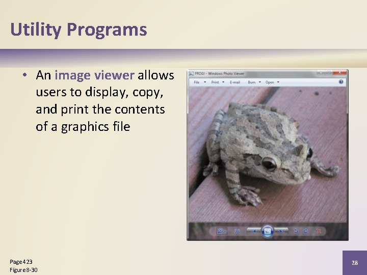 Utility Programs • An image viewer allows users to display, copy, and print the