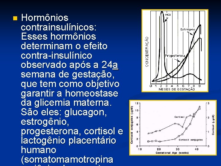 n Hormônios contrainsulínicos: Esses hormônios determinam o efeito contra-insulínico observado após a 24 a