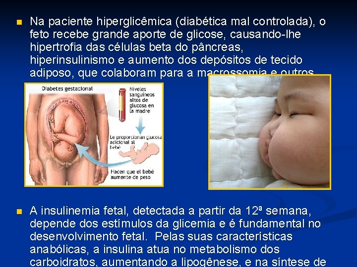 n Na paciente hiperglicêmica (diabética mal controlada), o feto recebe grande aporte de glicose,