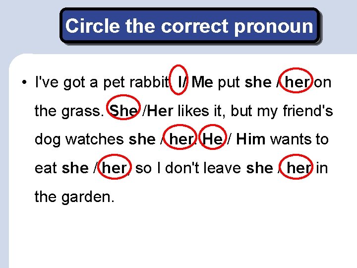 Circle the correct pronoun • I've got a pet rabbit. I/ Me put she