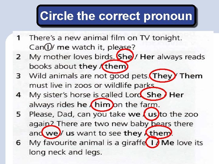 Circle the correct pronoun 