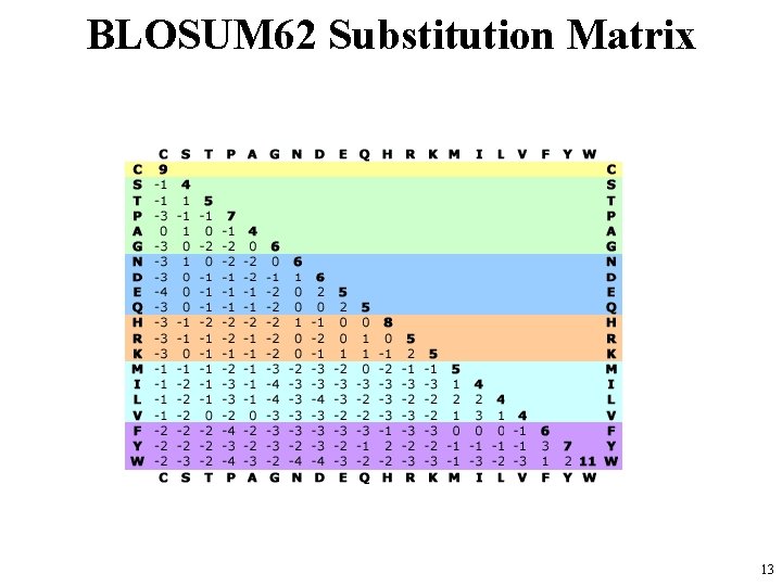 BLOSUM 62 Substitution Matrix 13 