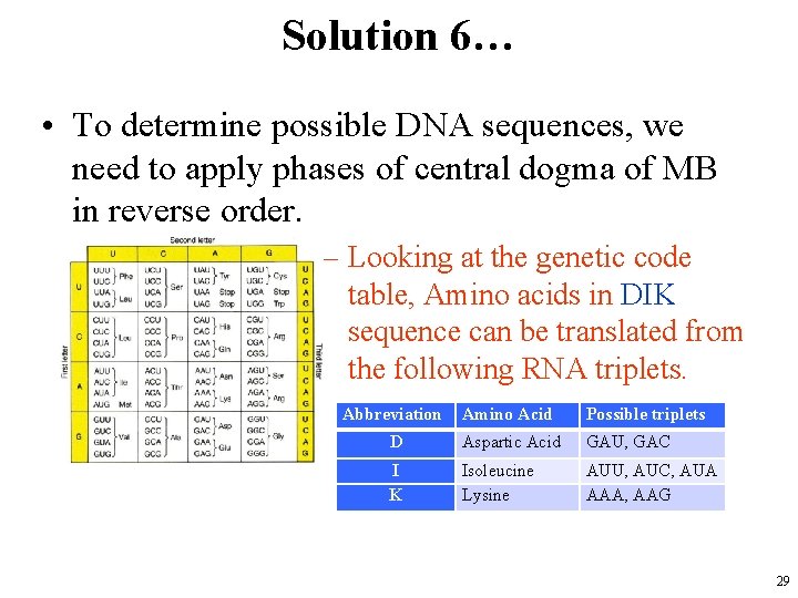 Solution 6… • To determine possible DNA sequences, we need to apply phases of