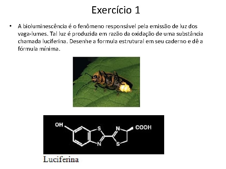 Exercício 1 • A bioluminescência é o fenômeno responsável pela emissão de luz dos