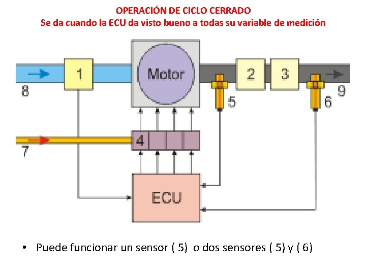 OPERACIÓN DE CICLO CERRADO Se da cuando la ECU da visto bueno a todas