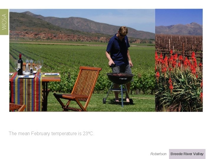 The mean February temperature is 23⁰C. Robertson Breede River Valley 