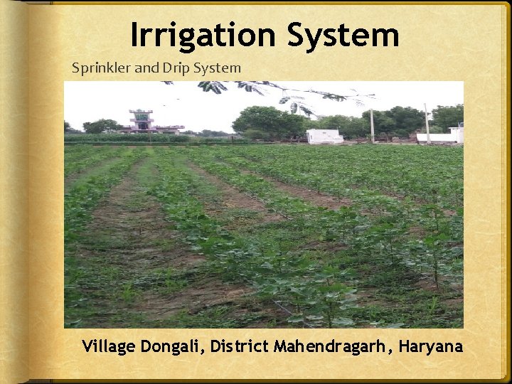 Irrigation System Sprinkler and Drip System Village Dongali, District Mahendragarh, Haryana  Irrigation System Sprinkler and Drip System Village Dongali, District Mahendragarh, Haryana