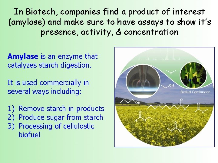 In Biotech, companies find a product of interest (amylase) and make sure to have