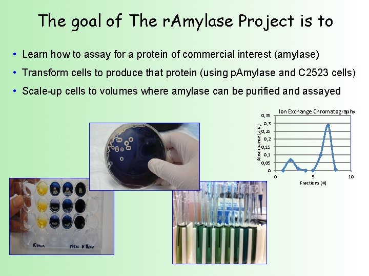 The goal of The r. Amylase Project is to • Learn how to assay