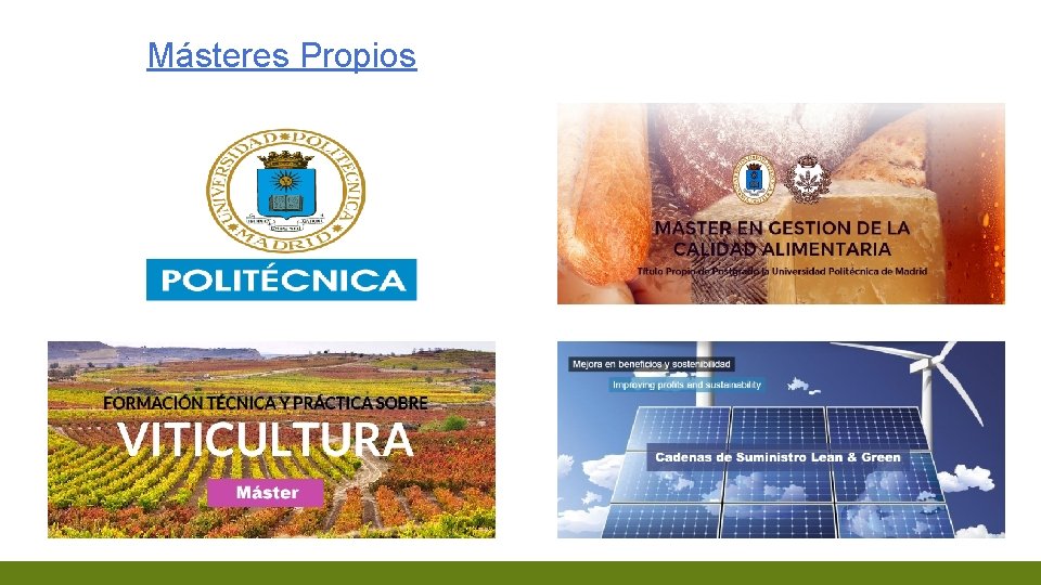 Másteres Propios 