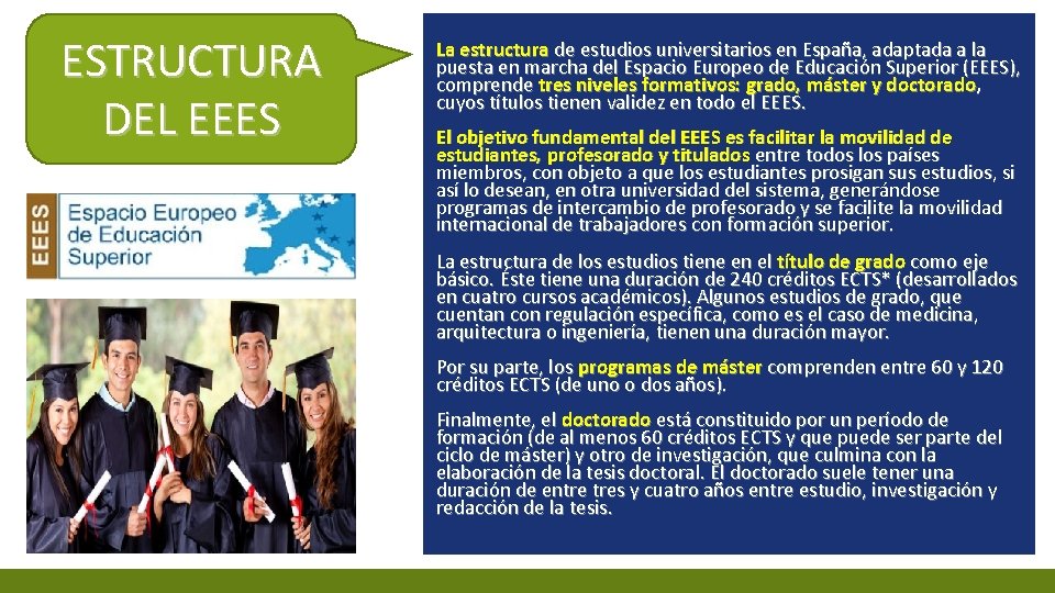 ESTRUCTURA DEL EEES La estructura de estudios universitarios en España, adaptada a la puesta