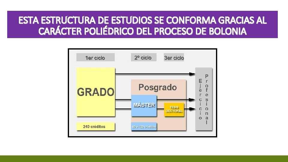 ESTA ESTRUCTURA DE ESTUDIOS SE CONFORMA GRACIAS AL CARÁCTER POLIÉDRICO DEL PROCESO DE BOLONIA