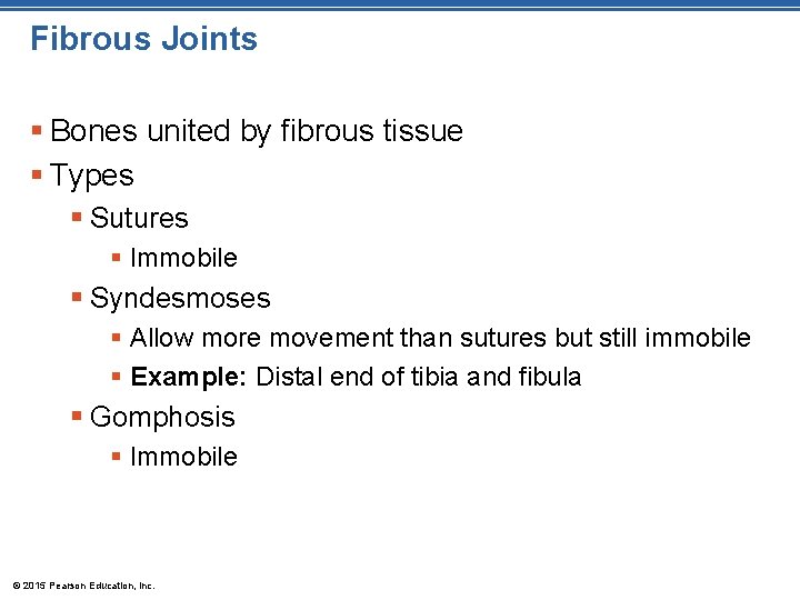 Fibrous Joints § Bones united by fibrous tissue § Types § Sutures § Immobile