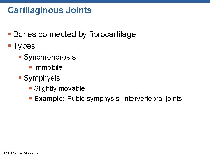 Cartilaginous Joints § Bones connected by fibrocartilage § Types § Synchrondrosis § Immobile §