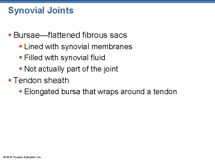 Synovial Joints § Bursae—flattened fibrous sacs § Lined with synovial membranes § Filled with