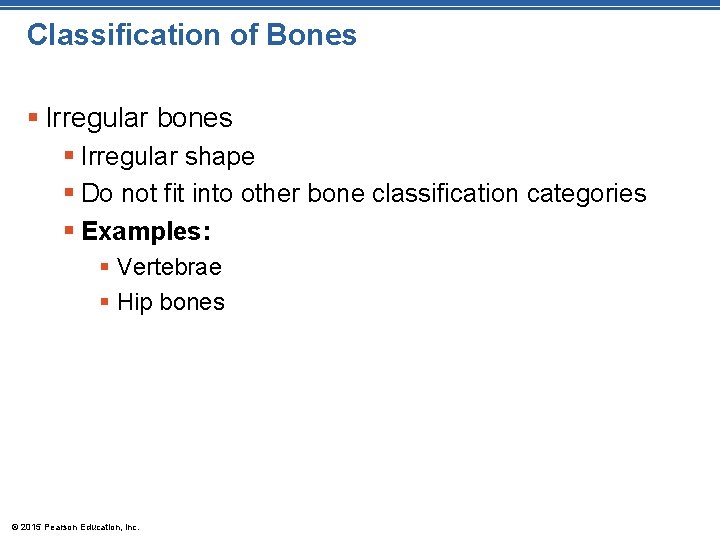Classification of Bones § Irregular bones § Irregular shape § Do not fit into