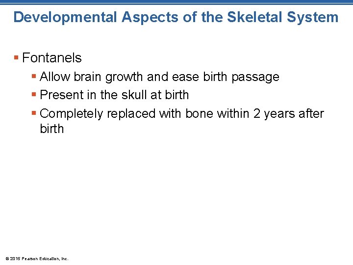 Developmental Aspects of the Skeletal System § Fontanels § Allow brain growth and ease