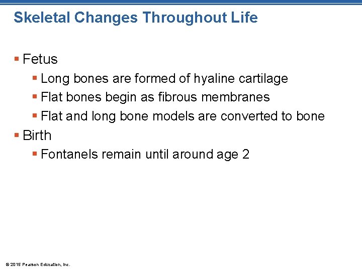 Skeletal Changes Throughout Life § Fetus § Long bones are formed of hyaline cartilage