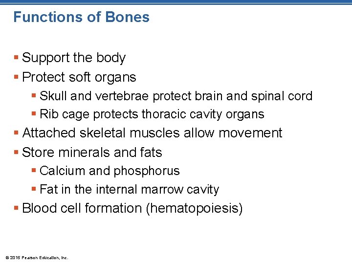 Functions of Bones § Support the body § Protect soft organs § Skull and