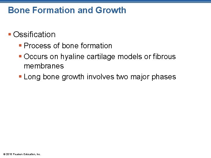 Bone Formation and Growth § Ossification § Process of bone formation § Occurs on