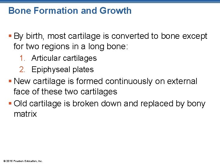 Bone Formation and Growth § By birth, most cartilage is converted to bone except
