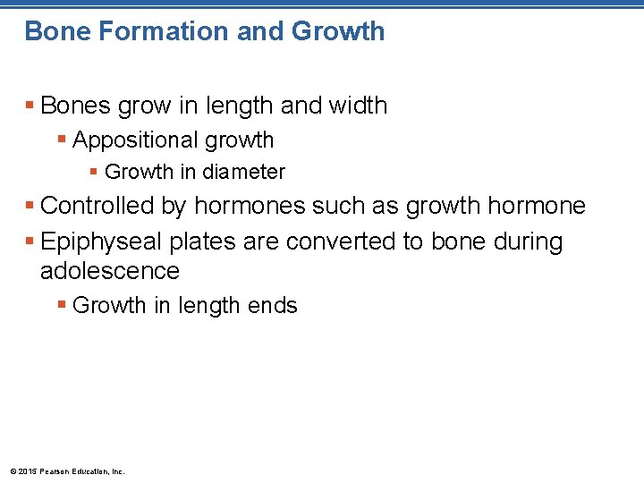 Bone Formation and Growth § Bones grow in length and width § Appositional growth