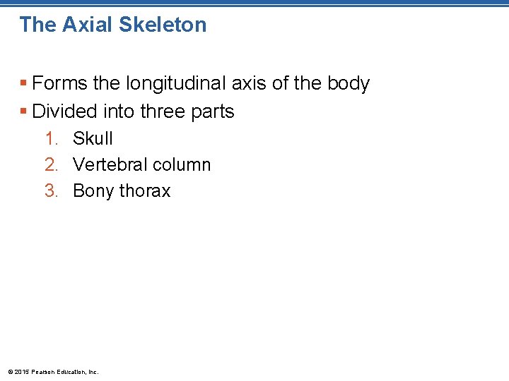The Axial Skeleton § Forms the longitudinal axis of the body § Divided into