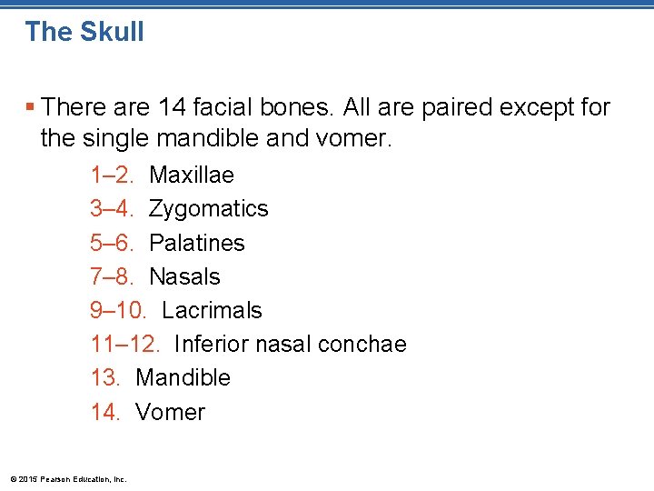 The Skull § There are 14 facial bones. All are paired except for the