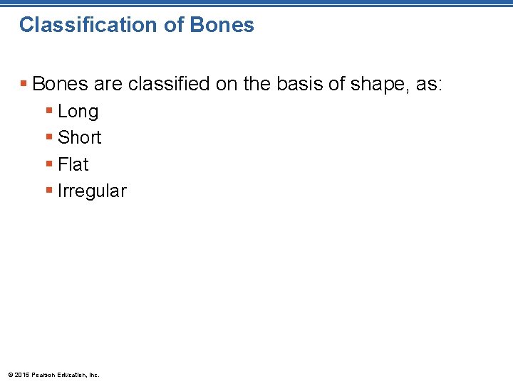 Classification of Bones § Bones are classified on the basis of shape, as: §