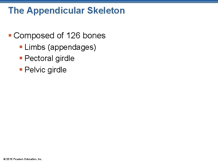 The Appendicular Skeleton § Composed of 126 bones § Limbs (appendages) § Pectoral girdle